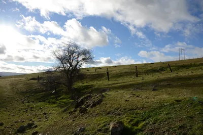 DSC_1038 (Large).JPG